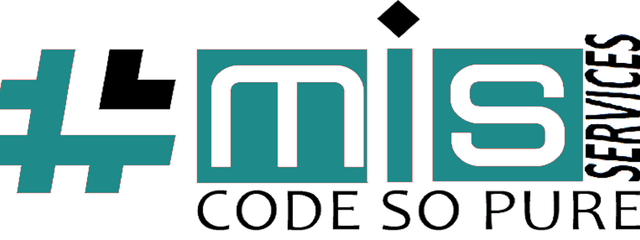 MIS Services Inc